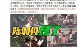 爆料西安老乔事件视频全集,揭秘视频全集背后的惊人真相